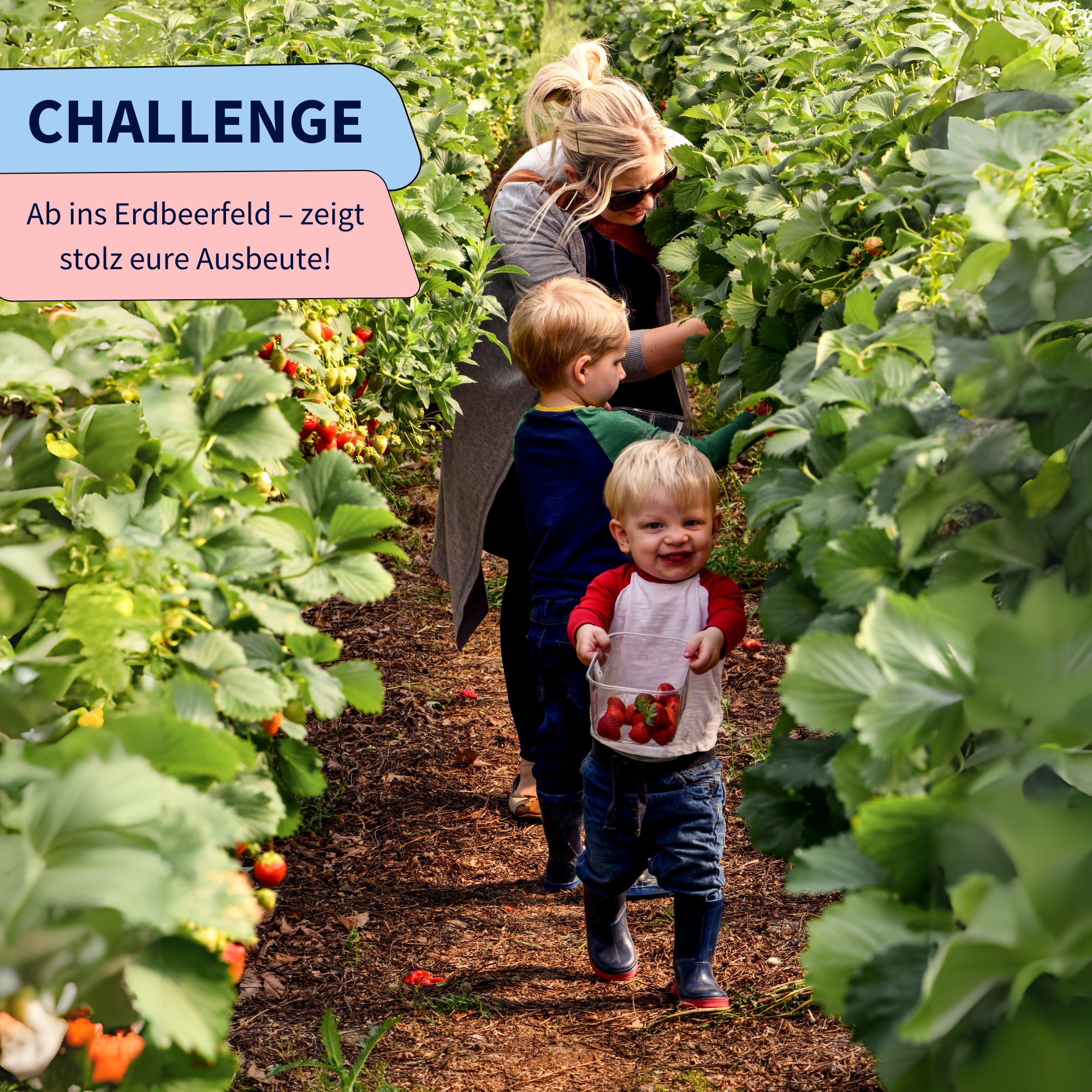 Family Challenge Album