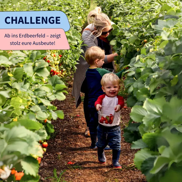 Family Challenge Album